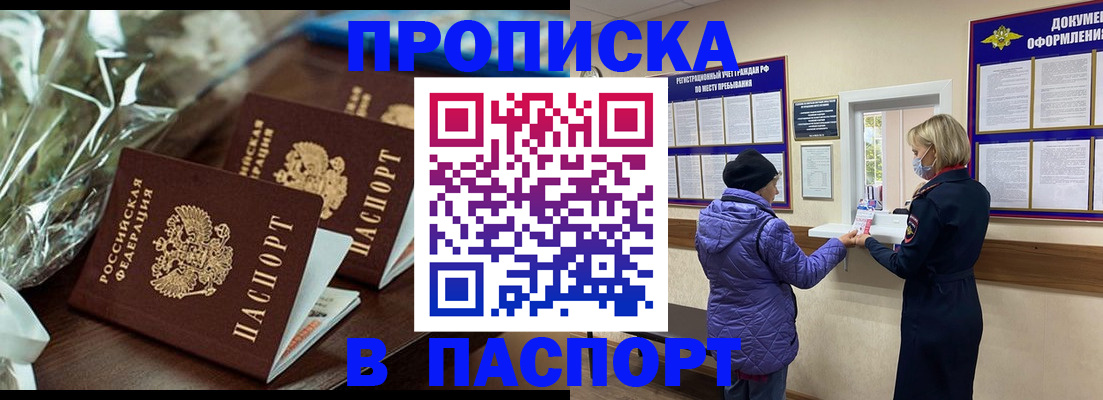 прописка для школы в Тольятти